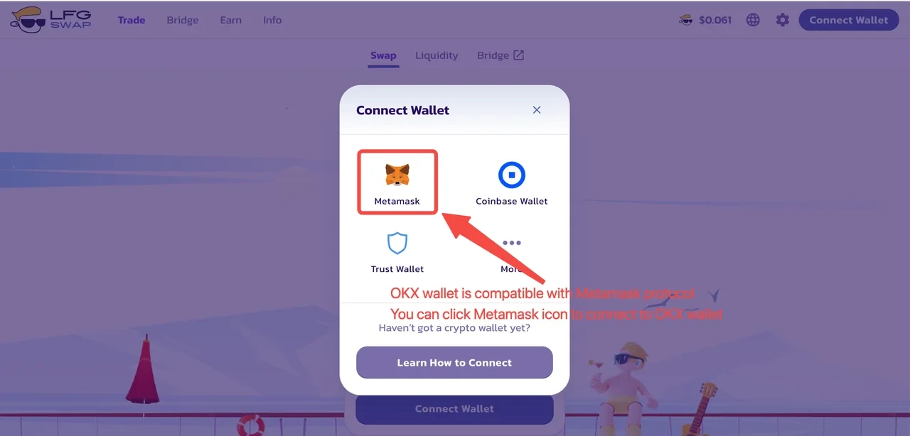 Step 2: Open the OKX Wallet Web Extension